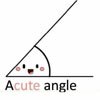 Acute Angle
