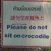 Do Not Sit on Crocodile