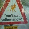 Yellow Snow Warning